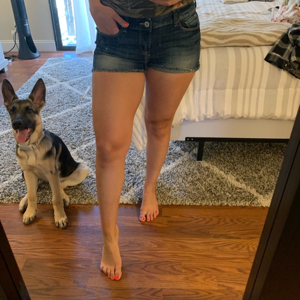 Express shorts - Picture 5 of 6